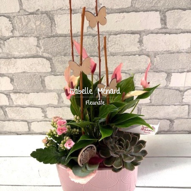 composition plantes d'intérieur rose-saumon