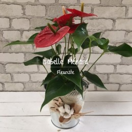 Anthurium et son cache-pot...