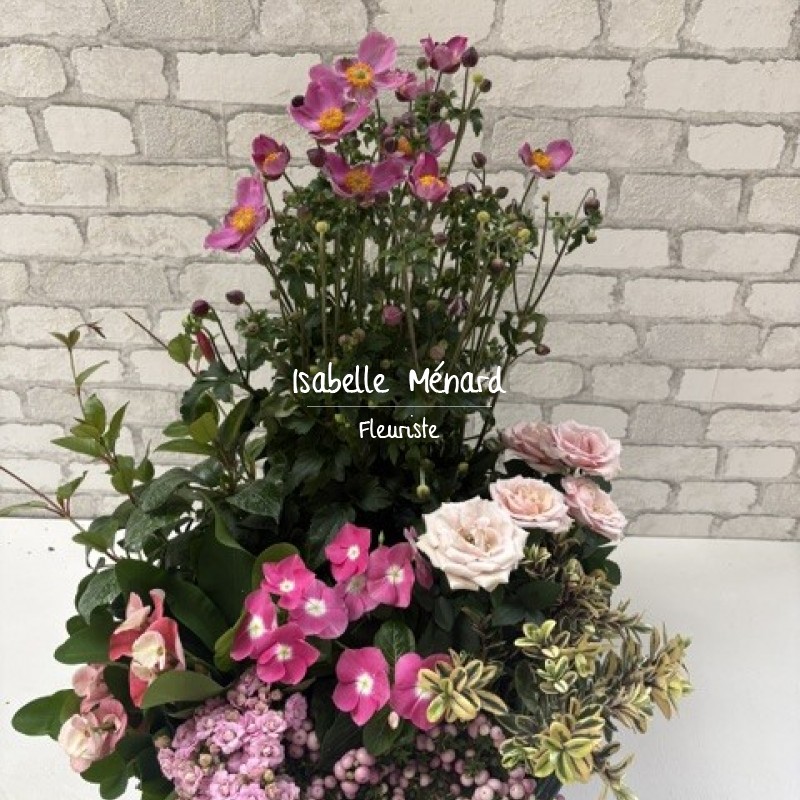 belle coupe de plantes d'extérieur