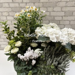 coupe de plantes blanches