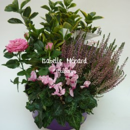 coupe de plantes pastelles