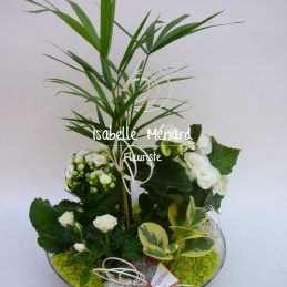 coupe de plantes blanches