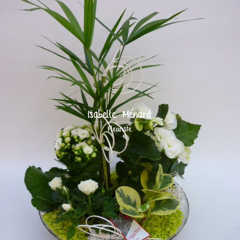 coupe de plantes blanches