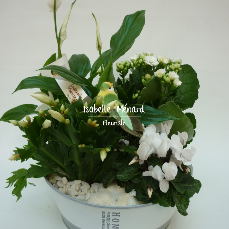 composition de plantes ton blanc composition de plantes ton blanc
