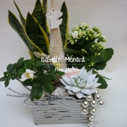 jardin de plantes festif