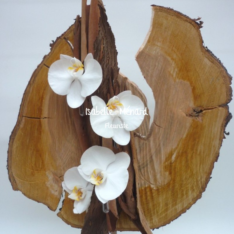 souche de bois et ses fleurs d'orchidée