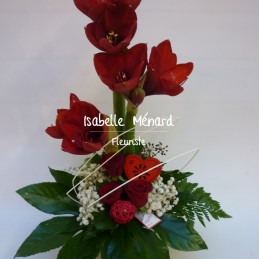 composition d'amaryllis