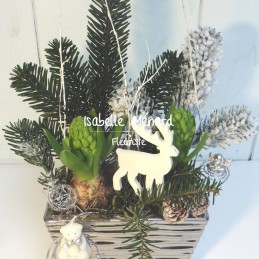 jacinthes et son contenant...