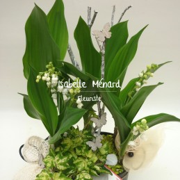 composition de muguet en...