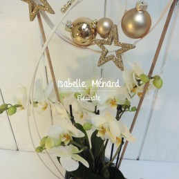 orchidée décorée fêtes...