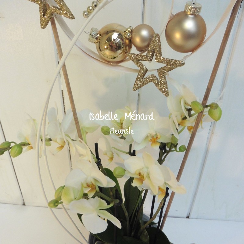 orchidée décorée fêtes multitude de petites fleurs orchidée décorée fêtes multitude de petites fleurs