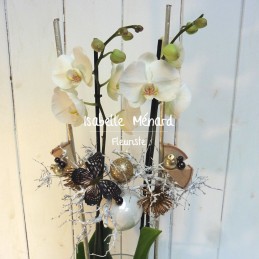 orchidée décorée