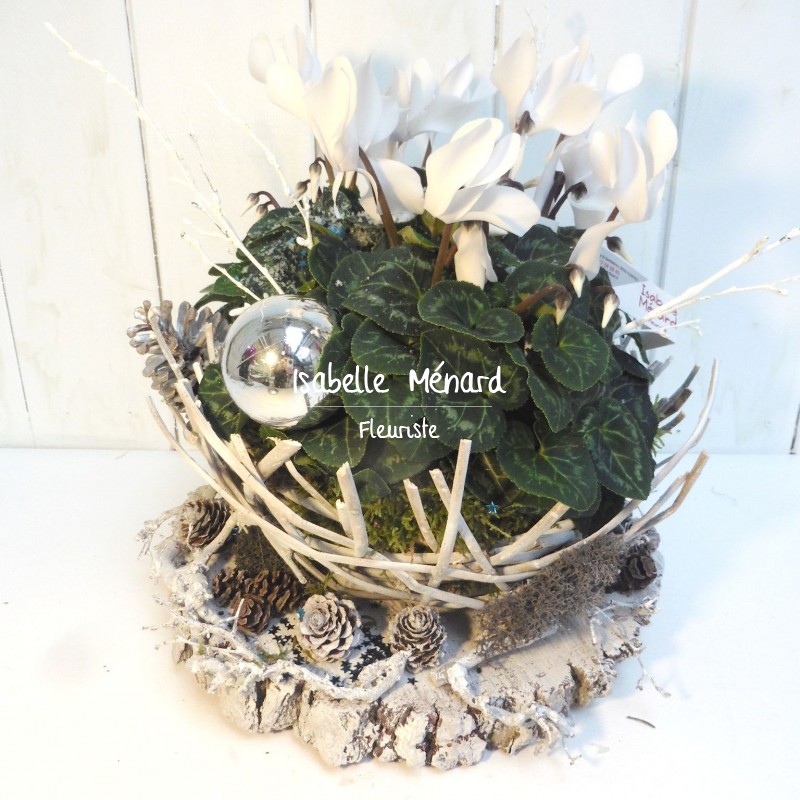 cyclamen sur souche bois "tendance" et "nature" cyclamen sur souche bois "tendance" et "nature"