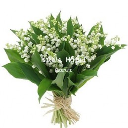 beau bouquet de brins de...