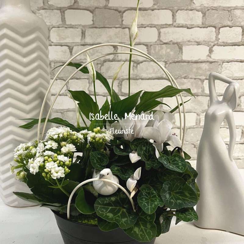 composition de plantes tons blanc - vert