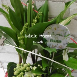 jardin de plantes et muguet...