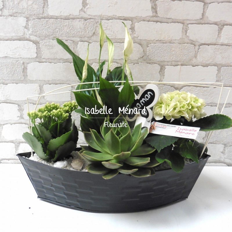 composition plantes d'intérieur vert et blanc composition plantes d'intérieur vert et blanc