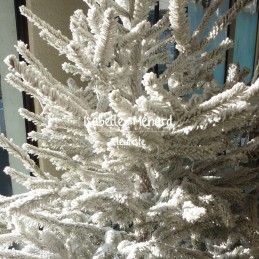 sapin de Noël floqué blanc