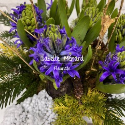 jacinthes bleues décorées