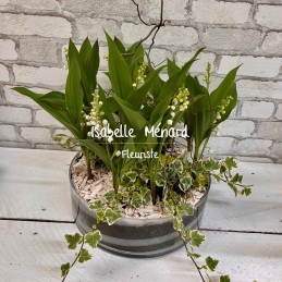 très belle coupe de muguet...