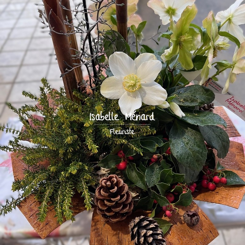 composition de plantes d'extérieur "spécial fêtes"