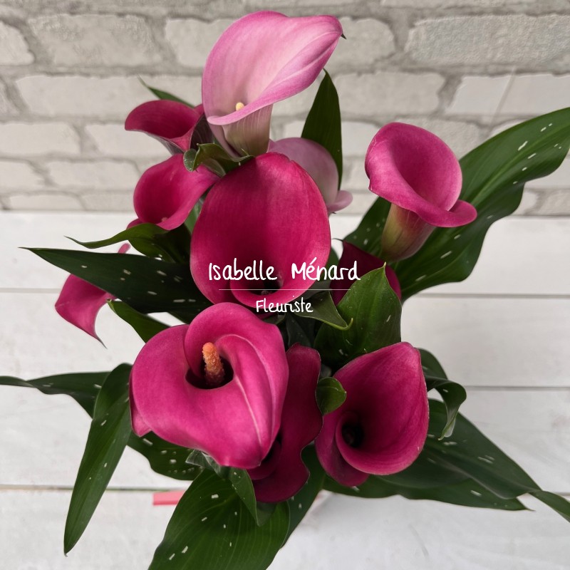 calla rose et son contenant tendance