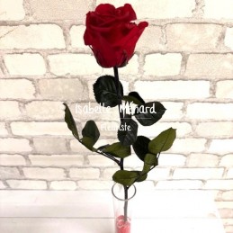 Rose éternelle dans soliflor