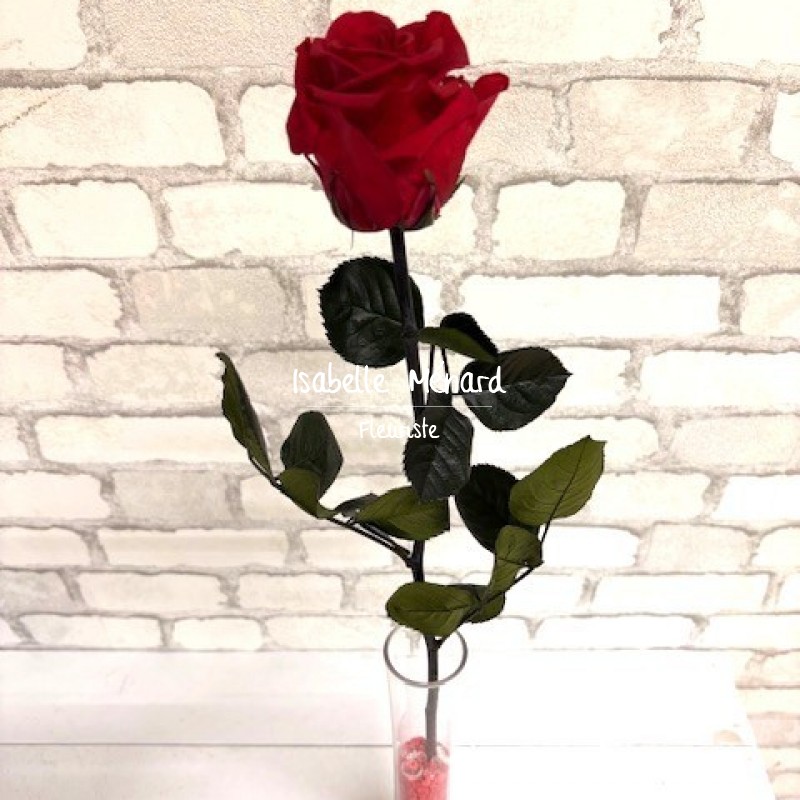 Rose éternelle dans soliflor