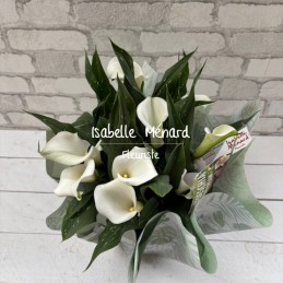 Calla blanc