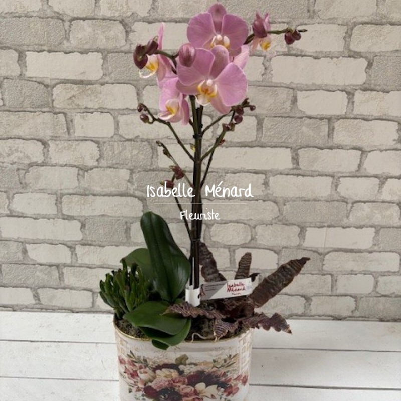 Orchidée rose et son contenant fleuri
